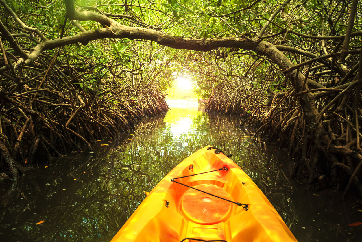 kayaking
